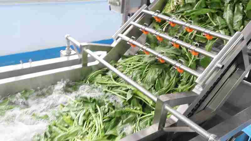 果蔬加工生產(chǎn)線：運(yùn)作條件、特征及多樣休閑食品生產(chǎn)線解析?