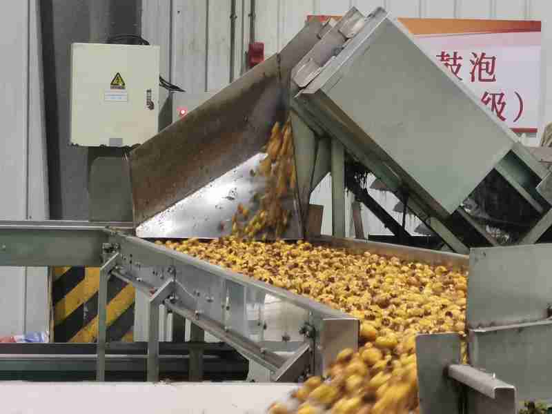 水城區(qū)：企業(yè)“鎖鮮”壓榨生產(chǎn)忙，精深加工助力刺梨“身價倍增”(圖4)