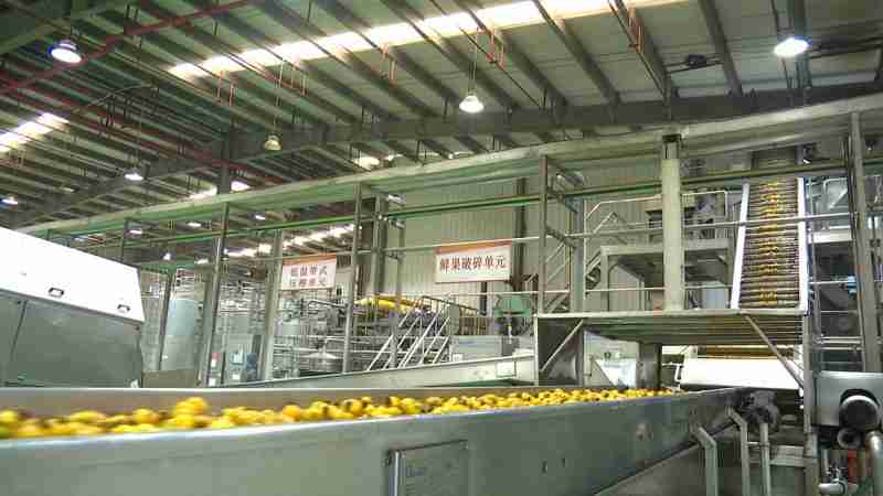 水城區(qū)：企業(yè)“鎖鮮”壓榨生產(chǎn)忙，精深加工助力刺梨“身價(jià)倍增”