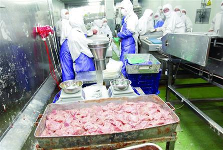 什么樣的生產(chǎn)線可以用到斬拌機呢？有多少種產(chǎn)品？